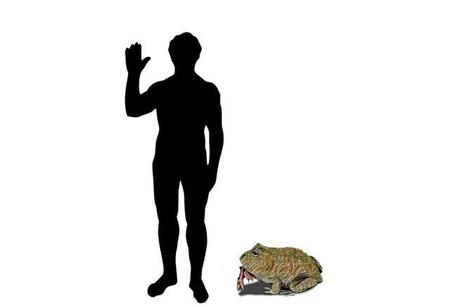 青蛙吃恐龙(白垩纪早期的恐龙)
