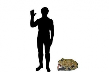 青蛙吃恐龙(白垩纪早期的恐龙)