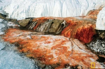 南极洲血瀑布过程,南极血冰川