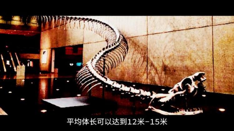 江苏射阳惊现30米巨蟒「一道闪电击中江苏射阳30米巨蟒关于蛇神渡劫的诡异传说」