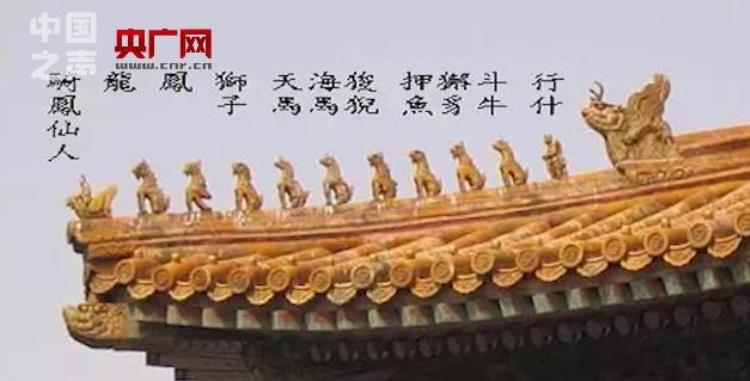 故宫的大火,关于故宫紫禁城的历史