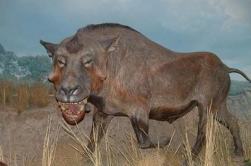 猛兽的牙齿(形容老虎和狮子的词语)