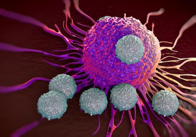 癌细胞能让人类永生吗,细胞无限分裂能永生吗
