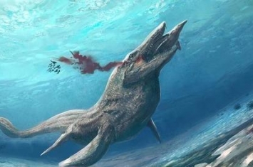 海王龙和巨齿鲨谁厉害