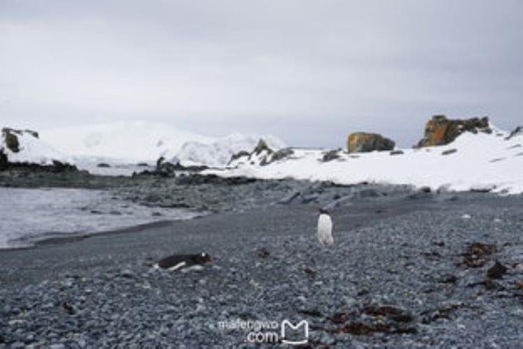 关于南极洲的10个黑暗而神秘的秘密,关于南极的十四个事实