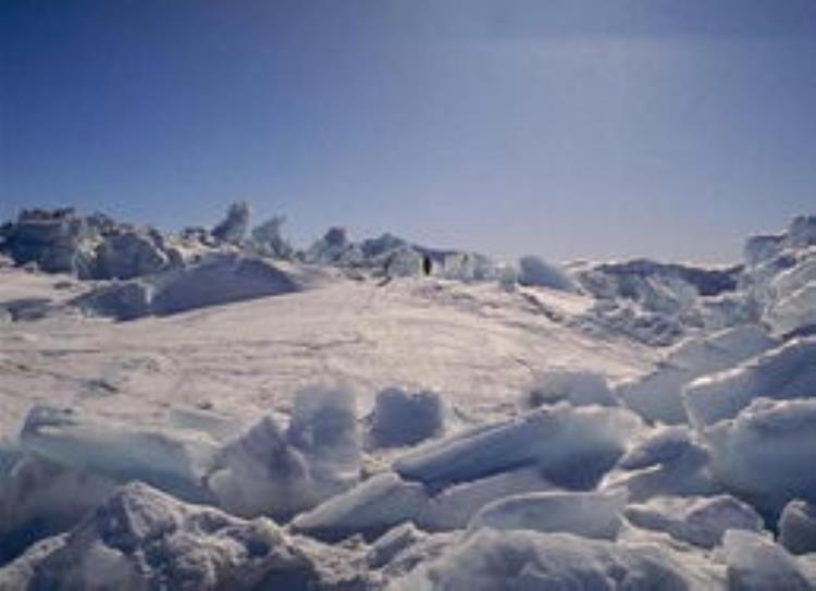 至今无解的南极十大神秘现象,南极地图10大未解之谜