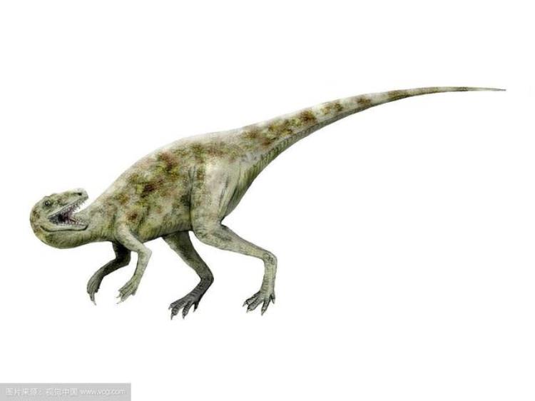 最早出现的食肉恐龙,白垩纪排名前十的恐龙
