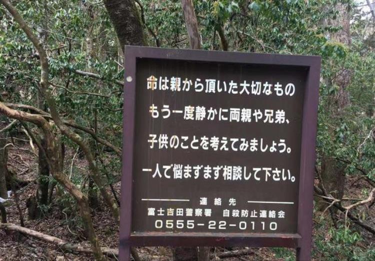 四川最恐怖的山(世界最危险的原始森林)