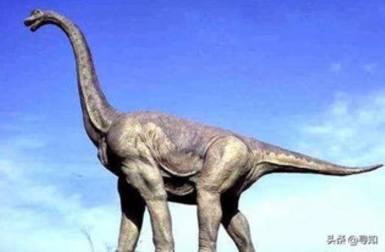 草食性恐龙都有哪些?,常见食草性恐龙