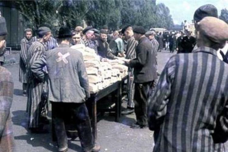 二战最残酷的集中营「二战最可怕集中营35种死法摄影师记录纳粹手下囚犯们真实生活」