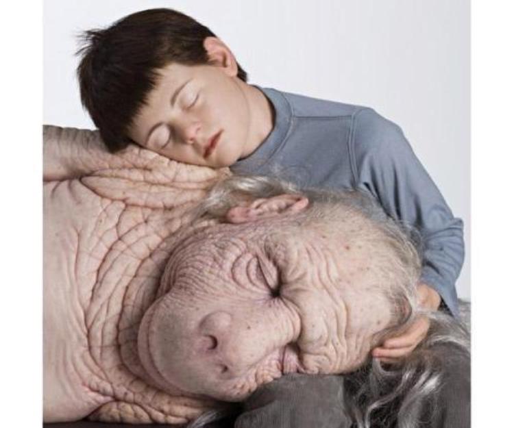 猪和人类的杂交胚胎(猪基因与人)