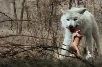 被狼养大的两个孩子,小孩被狼群所救最后成为森林之王