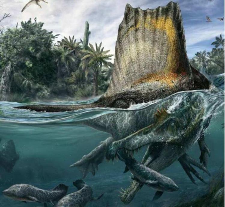 棘龙是不是生活在水里,棘龙的现代祖先