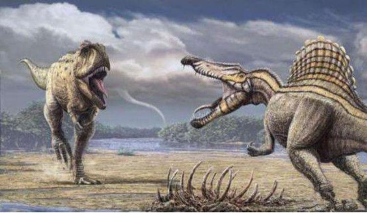 棘龙是不是生活在水里,棘龙的现代祖先
