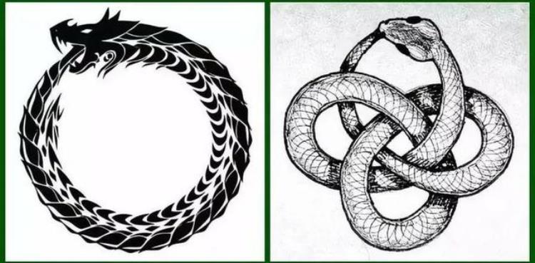 传说中的大蛇,远古七大巨蛇
