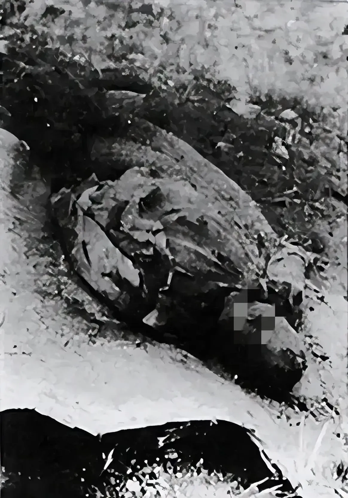 1942年，左权牺牲后，遗体被日军挖了出来，侮辱时的情景，从镜头中可以看到，左将