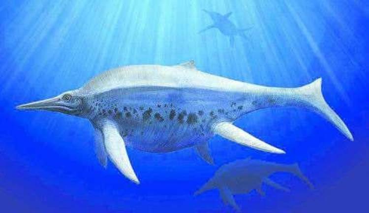 蓝鲸是有史以来最大的动物吗,世界上有比蓝鲸更大的恐龙吗