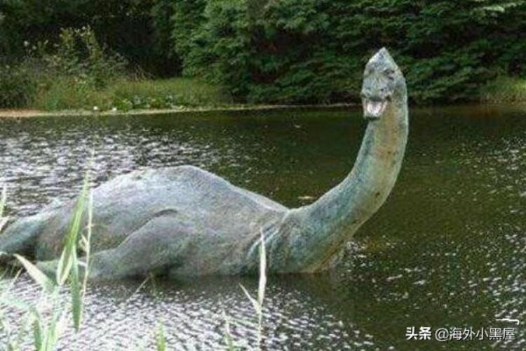 世界上唯一一只恐龙魔克拉姆边贝竟然被人吃掉了小说,世界上最罕见的恐龙动物