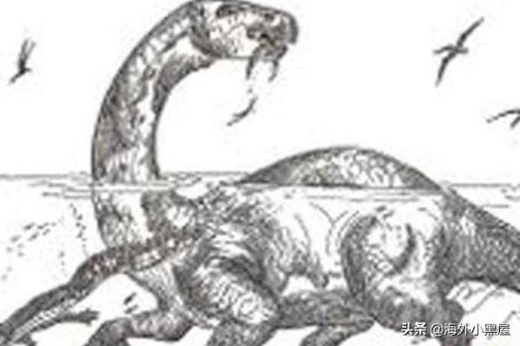 世界上唯一一只恐龙魔克拉姆边贝竟然被人吃掉了小说,世界上最罕见的恐龙动物