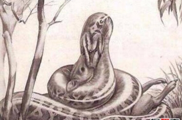 远古沃那比蛇是什么蛇，比泰坦蟒更凶的6米巨蛇(能吃恐龙)