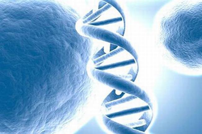 死亡基因被发现，缺失这种基因大概率患癌(癌症克星)