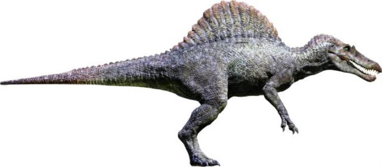 在侏罗纪公园跟霸王龙抗衡的超级恐龙其实是水中巨兽吗,侏罗纪时代中最强大的恐龙
