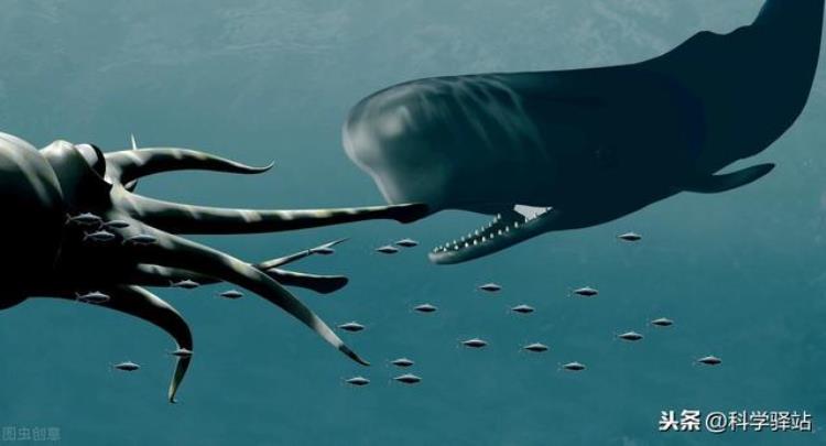 为什么鲸鱼可以下潜2000米,潜艇为什么没鲸鱼下潜得深