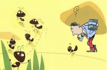 懒蚂蚁效应是什么?为什么企业离不开20%“懒员工”