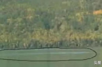 喀纳斯湖124米巨型哲罗鲑,喀纳斯湖的大红鱼到底有多大
