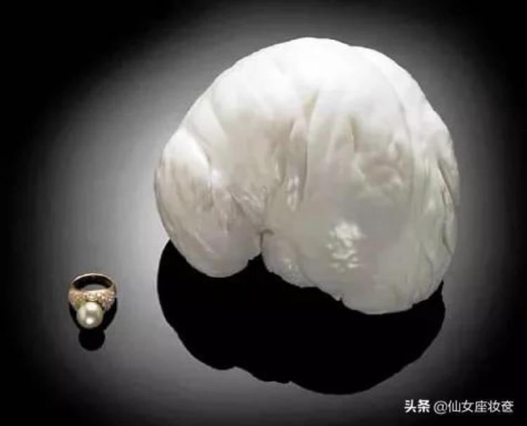 目前世界最大的珍珠,史上最大的巨型珍珠
