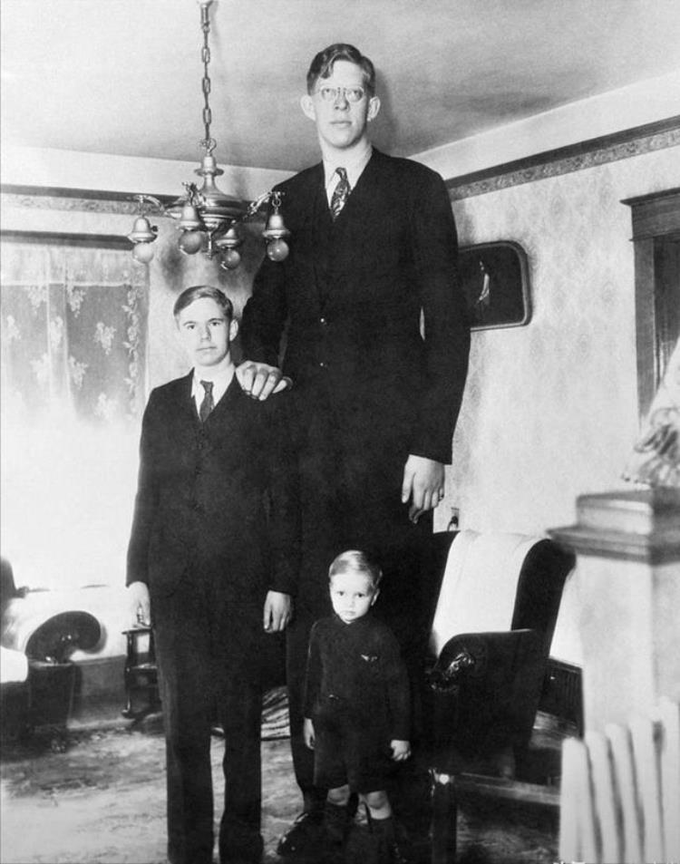 世界上最高的人种,世界上最高的人16米