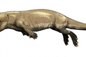 比恐龙还早的八大巨兽 陆行鲸水獭与鳄鱼结合体