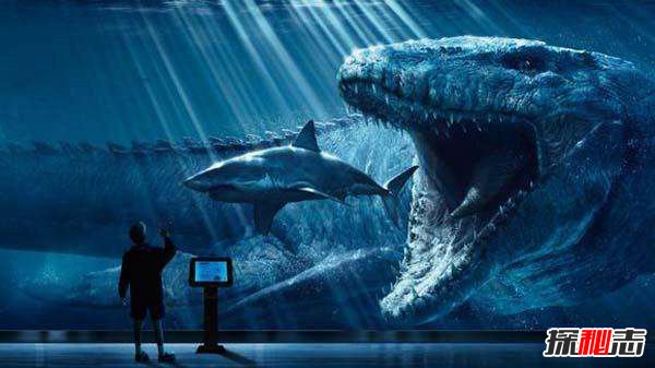 虎鲸的祖先赢了巨齿鲨？巨齿鲨和虎鲸比谁更厉害