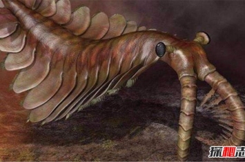 远古海洋三大霸主 沧龙最强恐龙蜥蜴进化而成