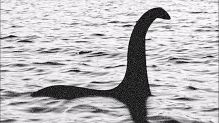 神秘喀纳斯湖频繁出现水怪,真的是巨型生物吗?,喀纳斯水怪存在吗