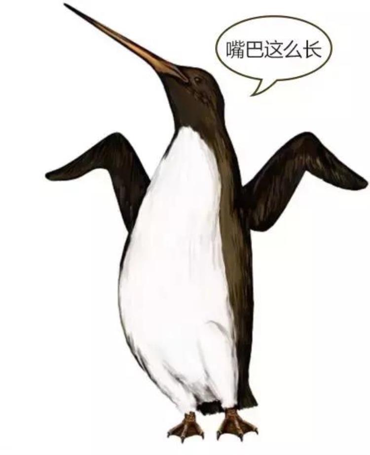 企鹅中最大的企鹅,世界上最大企鹅有多大