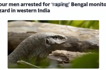 印度4男子集体性侵蜥蜴用手机拍下网友震惊我不理解