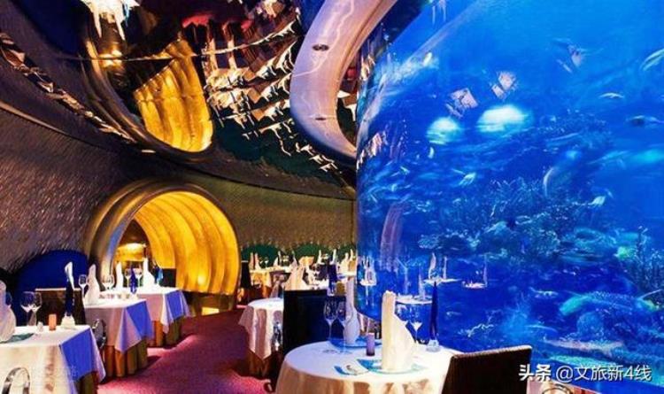 迪拜十星级酒店多少钱一晚,迪拜海底酒店有多豪华