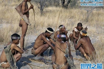 非洲原始部落布须曼人，身材短小却敢挑战狮子(1.5米)