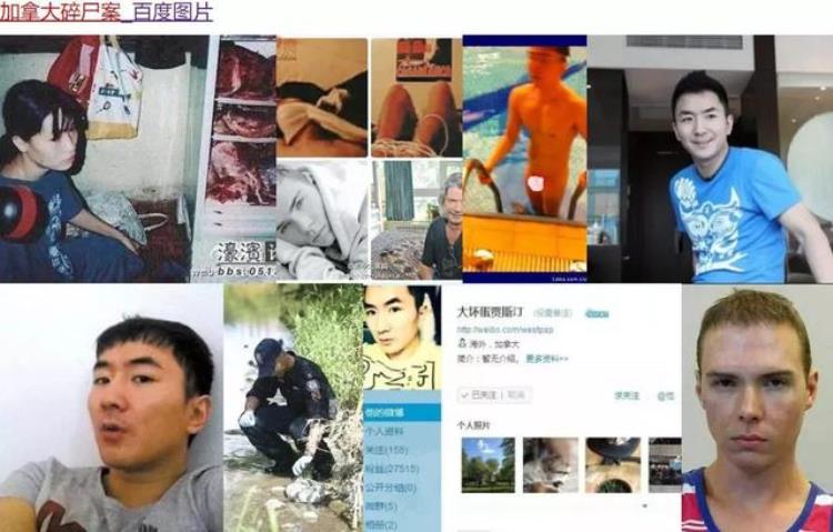 关于虐猫事件的新闻「网红杀人事件变态男虐猫杀人中国留学生被肢解案最新进展」