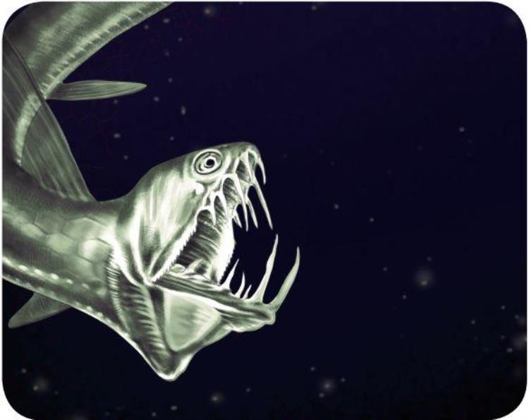 吓人的魔鬼鱼「深海神秘怪鱼介绍」