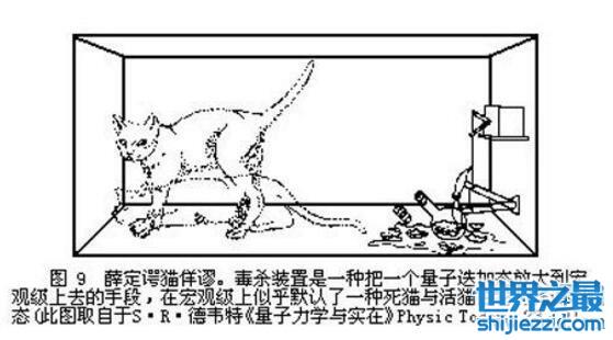 揭秘薛定谔的猫，一个无聊的实验(猫死不死铀说了算)