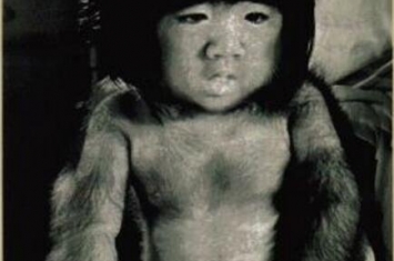 中国第一毛孩图片，毛孩于震寰全身毛发依旧找到真爱