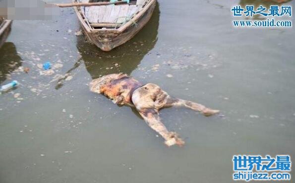 恐怖的印度恒河浮尸现场照，河面尸横片野污染严重