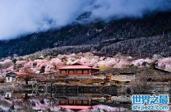 西藏林芝几月最美，春季赏花九月观秋(旅游攻略)