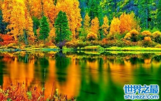 西藏林芝几月最美，春季赏花九月观秋(旅游攻略)