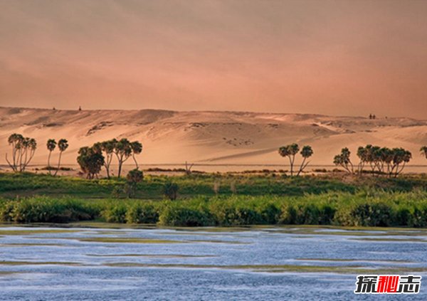 世界上最热的沙漠：撒哈拉沙漠（几年不下雨最高57.7℃）