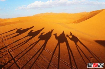 中国四大沙漠排名：塔克拉玛干面积33万km2世界第十