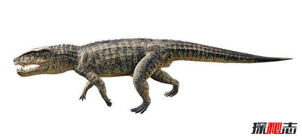 史前恐怖巨兽 吃恐龙的鳄鱼猪鳄（立体视觉）