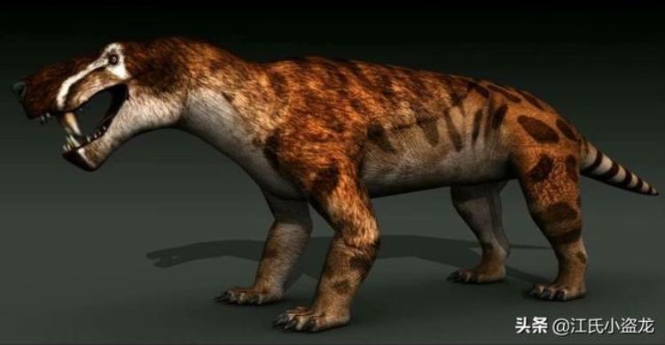 地球最早哺乳动物,现存最古老的哺乳动物